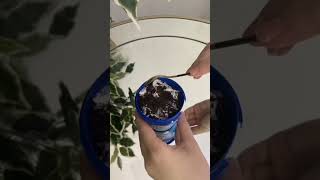 Oreo chocolate Ice Cream ASMR | Satisfying #shorts  #asmr