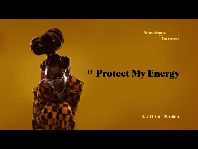 Little Simz - Protect My Energy