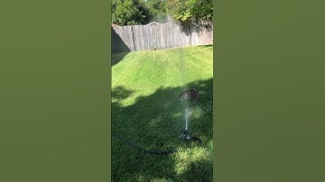 Impact sprinkler ASMR