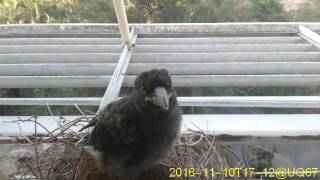 20161110T1700~1730