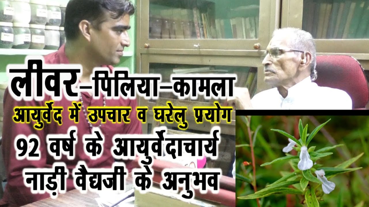 Liver-लीवर-पीलिया jaundice में 92 साल के नाड़ी वैद्य की राय #Liver_Problems #TrinetraTV #Naadi_Vaidya