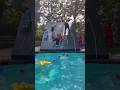 Who will touch the finish line first #youtubeshorts #viralvideo #shortvideos #shorts