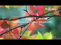 Урок 3. Примеры цветовых решений. Курс "Основы графического дизайна".