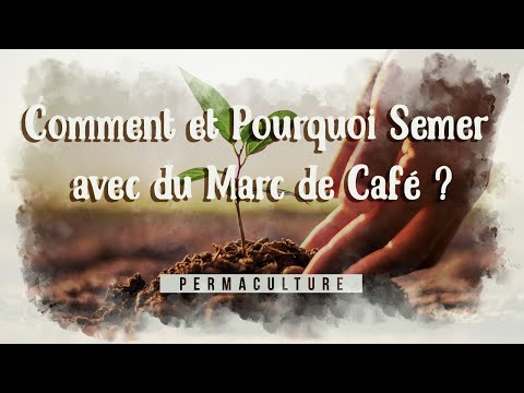 Vidéo: Comment Deviner Sur Le Marc De Café