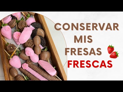 Como Hacer que las FRESAS DUREN mas TIEMPO/Como GUARDAR las FRESAS /Como conservar las FRESAS