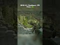 The best cheap green loudout with knife and gloves !