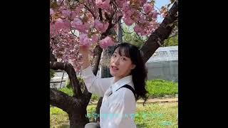 DANY - 네 맘이 봄이라면 네 맘에 꽃이될게