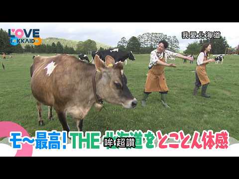 【搶先看】我愛北海道 #575 9/5(六)晚間6點首播