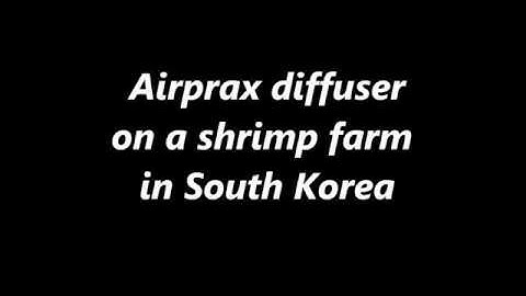 AIRPRAX microbubble diffuser on shrimp farm