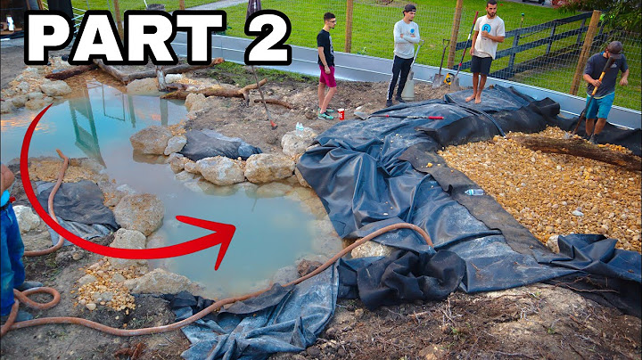 MY DREAM POND BUILD IS MASSIVE! Part 2