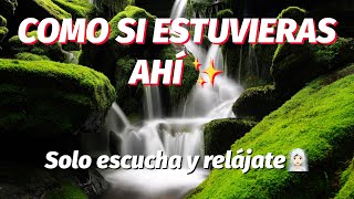 Sonido de AGUA Cayendo de CASCADA para DORMIR, RELAJARSE y MEDITAR🌊🧘