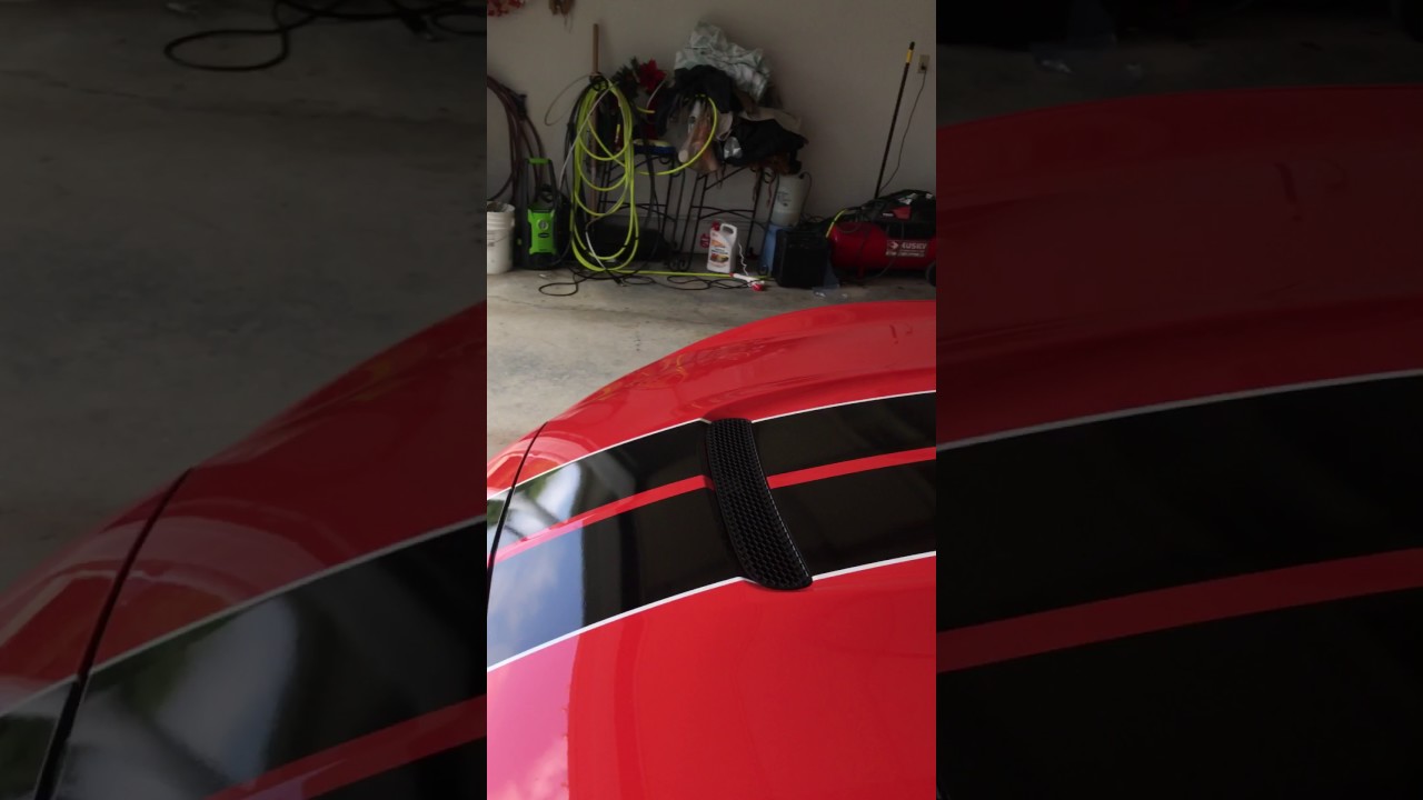 Gt350 cam lope straight pipe YouTube