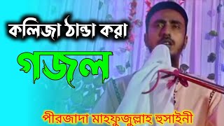 কলিজা ঠান্ডা করা গজল গাইলেন পীরজাদা মাহফুজুল্লাহ হুসাইনী///