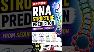RNA Structure Prediction #bioinformatics #rna #rnaseq #viral #education