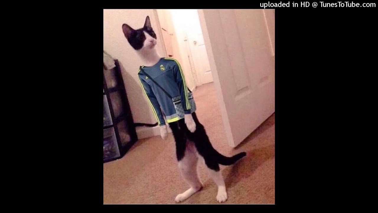 [FREE] Xangang x Summrs x Goyxrd Type Beat "Sour Punch" (Prod. Evol808 & Rxndy)