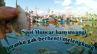 Mancing ikan di pantai muncar banyuwangi||AMAZING