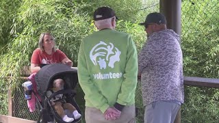 Eighty-four-year-old man volunteers every week at Zoo Knoxville