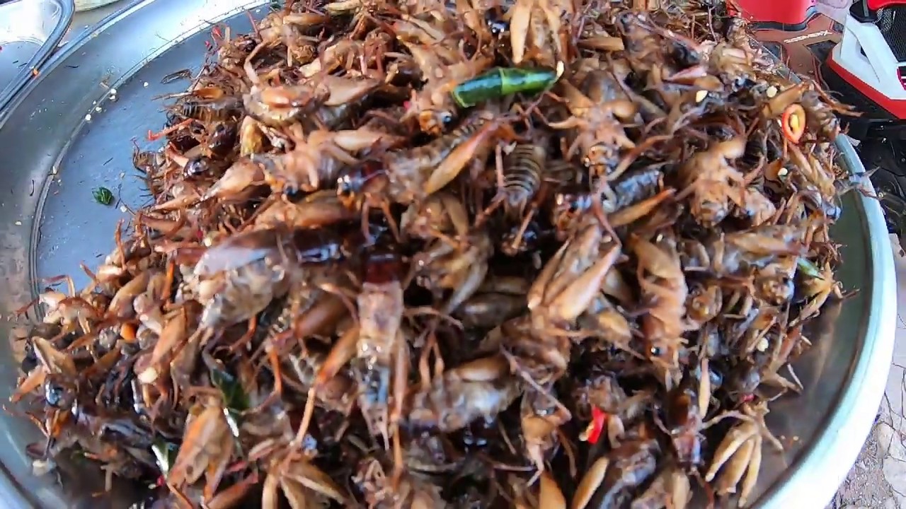 The Best Street food Cricket In Cambodia