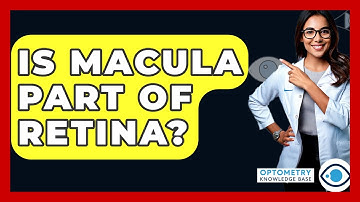 Is Macula Part of Retina? - Optometry Knowledge Base