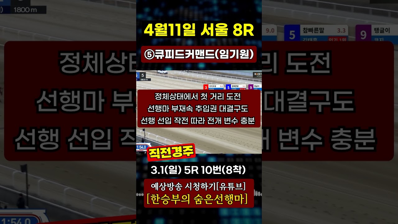 2026년 4월11일[토요경마] 삼복 중심은??