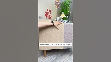 Cat Couch Protector – The Best Way to Keep Your Sofa Safe! #cats #catlovers #sofa #couch #furniture