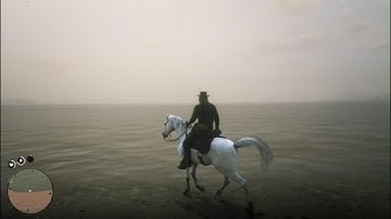 Red Dead Redemption 2 the most immersive game ever made🤠🐎