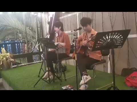ไม่เคย -Synkornize [Cover LeveL]