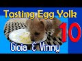 Video 10: Tasting Egg Yolk