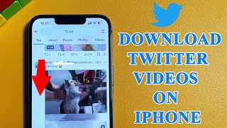 How to download Twitter videos on iphone 13 screenshot 3