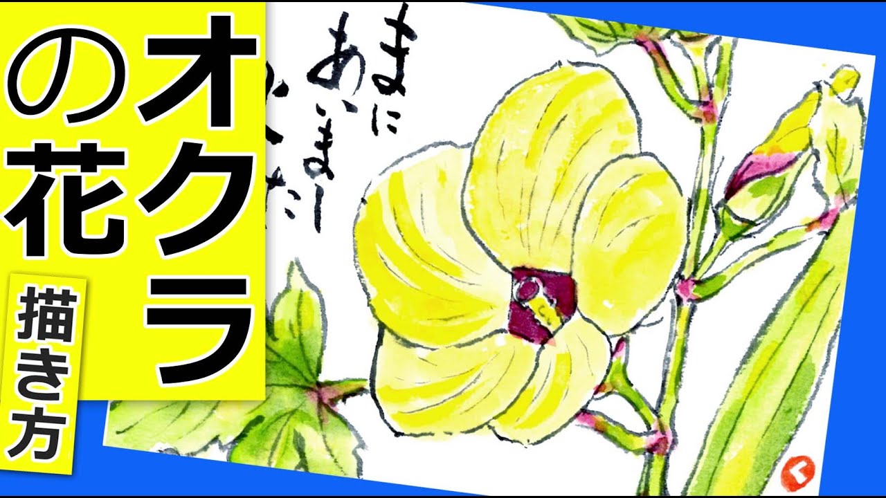 オクラの花の描き方 野菜の花 ガーデニングの絵手紙スケッチ 7月 8月 9月 10月 夏 秋 野菜の花 秋葵 おくら Youtube