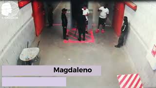 Se Revela Audio De Magdaleno Meza Tengo Bastante Que Ofrecer