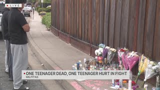 Memorial grows for Milpitas teen fatally stabbed in fight Net Worth