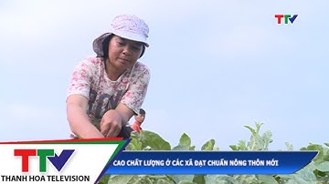 Duy trì và nâng cao chất lượng ở các xã đạt chuẩn nông thôn mới.