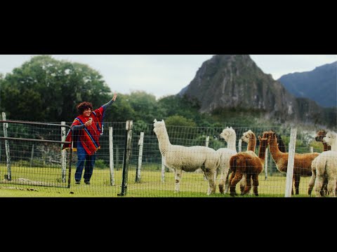 ALPACA Trailer