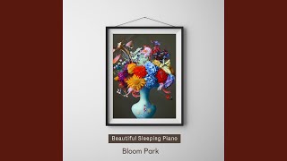 The Sound of Shuteye - Bloom Park