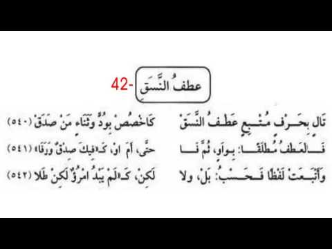 ٤٢ عطف النسق ألفية ابن مالك ألفية ابن مالك الألفية محمد صالح المرابع