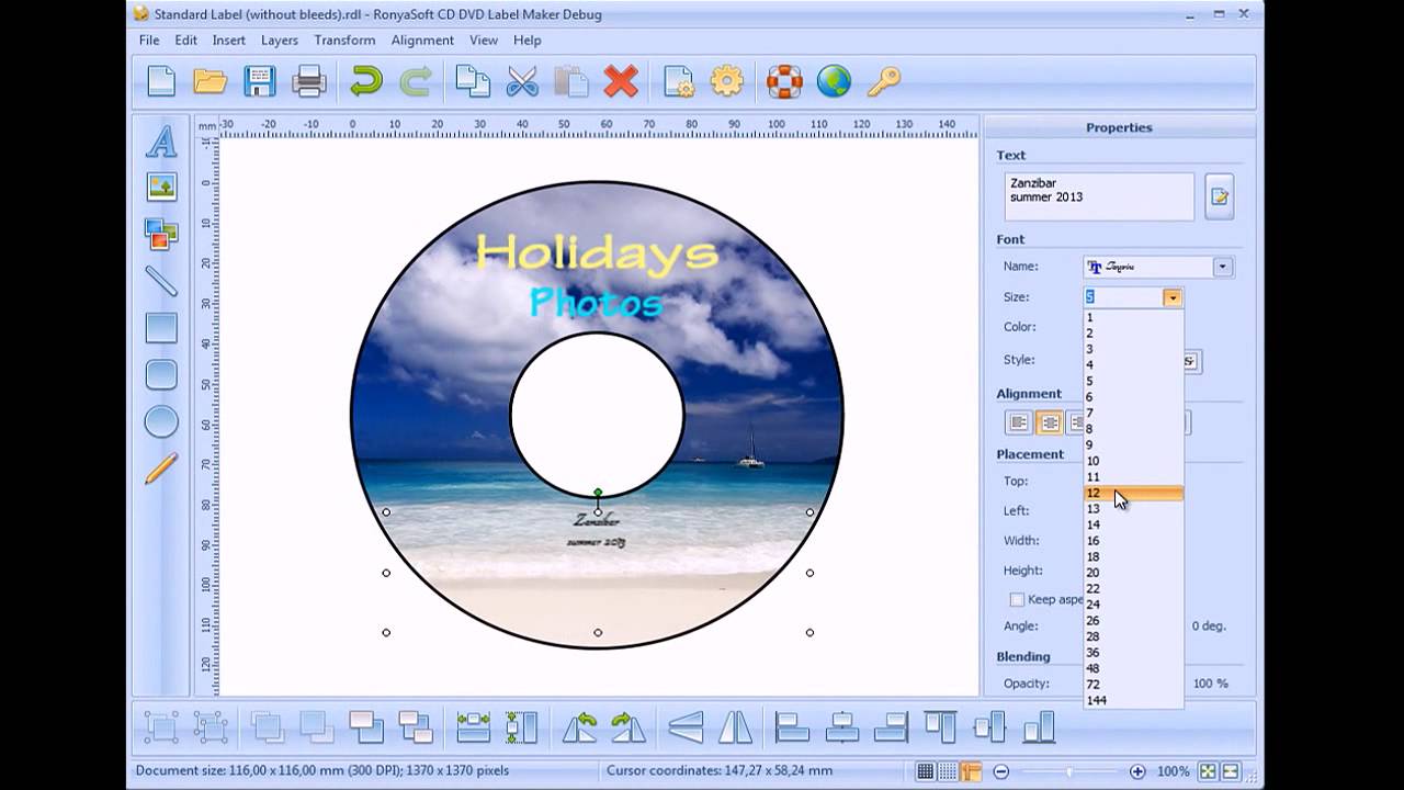 Cd Label Template Word 2010