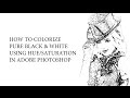 How to Recolor Pure Black and White in Photoshop Using Hue Saturation