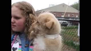 Humane Society of Pulaski County 1st ever PetsMart Charities Rescue Waggin