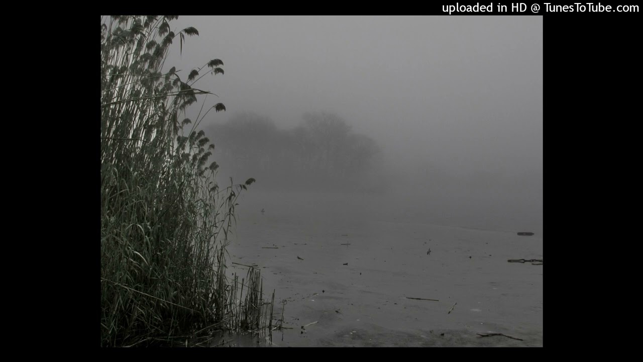 *free* shed theory + marlon Dubois + ambient type beat (p. shzyy2k + 808illusion)