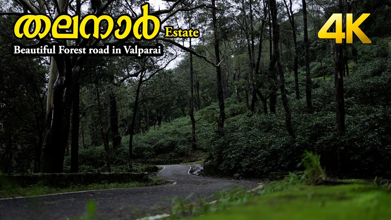 മൺസൂൺ റൈഡിനു പറ്റിയ അടിപൊളി സ്ഥലം !!! Thalanar 4K