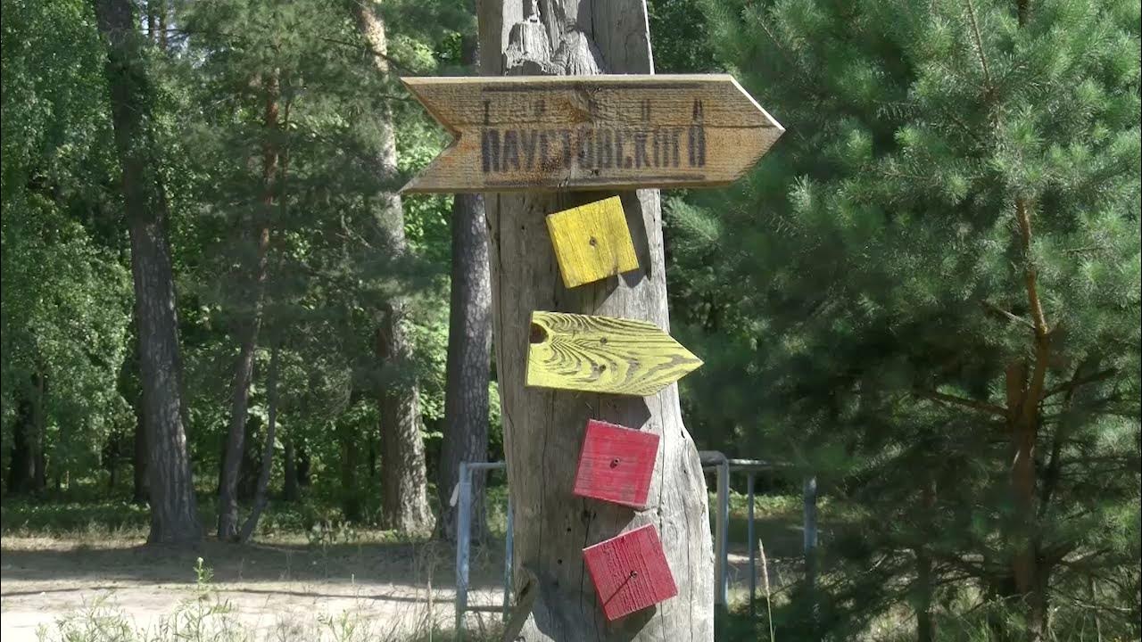 Тропа паустовского рязань район солотча фото