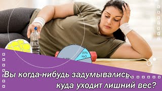 Вы когда нибудь задумывались, куда уходит лишний вес?