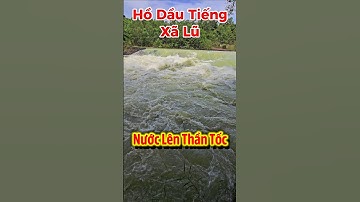 Hồ Dầu Tiếng Xã Lũ " Nước Lên Thần Tốc Dưới Sông Sài Gòn