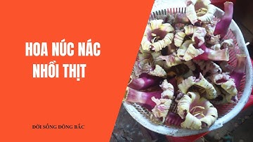 Làm Món Hoa Núc Nác Nhồi Thịt - Đời Sống Đông Bắc