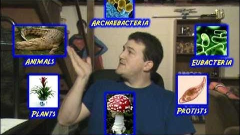 Teacher Feature Episode 4 - Classification