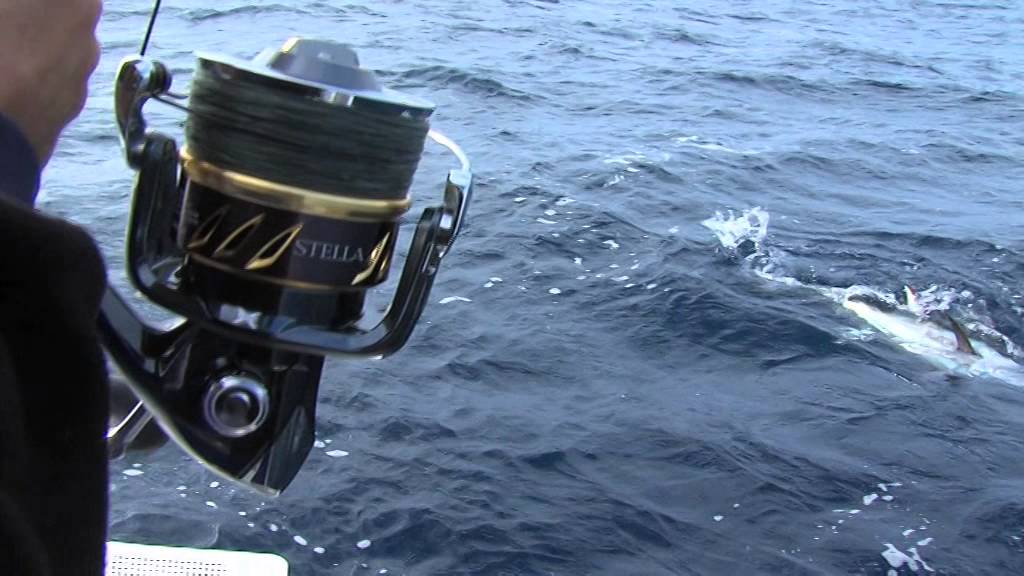 Italian Fishing TV - Shimano - Spinning Offshore Winter Tuna 