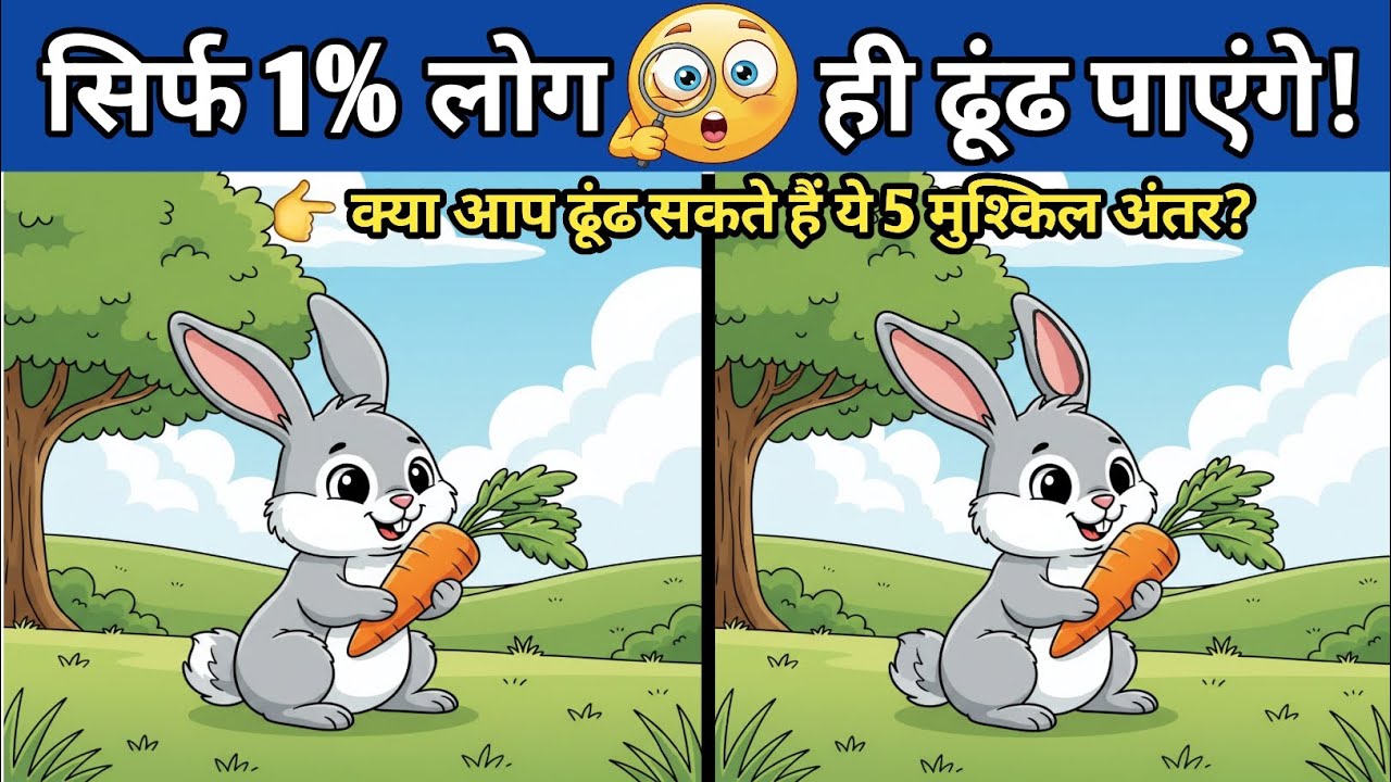 🔥 Spot The Difference Puzzle 🧐 | Find 5 Differences | 99% People Fail | Brain Test Challenge