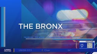 Suspect in custody in Bronx fatal stabbings: sources