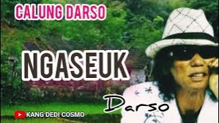 NGASEUK  -  DARSO #calungsunda #calungdarso @Kangdedicosmo